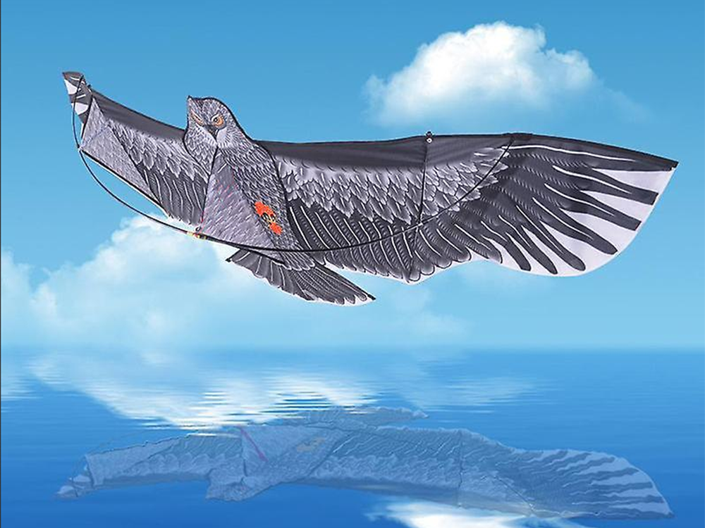 Воздушный змей, детский летающий кайт-орёл, 200cм | Flying Kite Eagle (5)