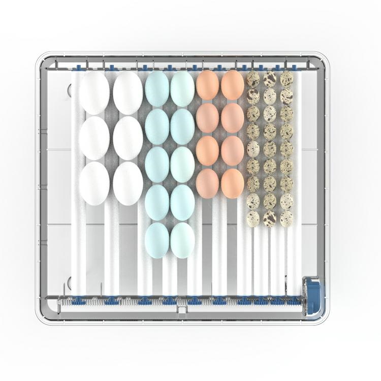 Автоматический инкубатор для яиц на 64 штуки (3)