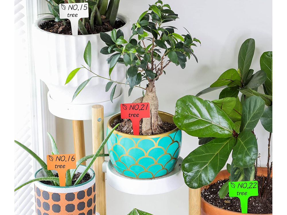 Этикетки для семян и растений 50 шт., Разные цвета | Labels for seeds and plants (2)
