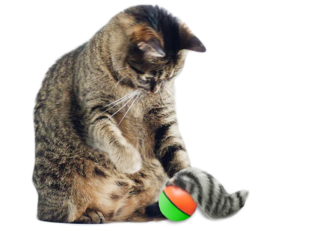 Интерактивная игрушка для кошек Убегающий мяч с хорьком (0)