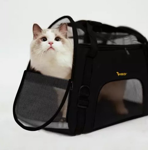 Сумка-Транспортер Переноска для Собак и Кошек, Чёрный | Cat Dog Carrier Bag (11)