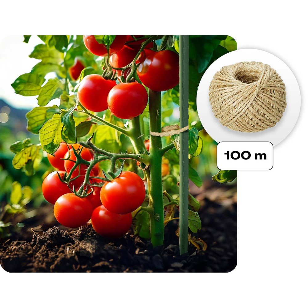 Plēves siltumnīca 3x2m (6m²) Plonos dārza augiem (1)