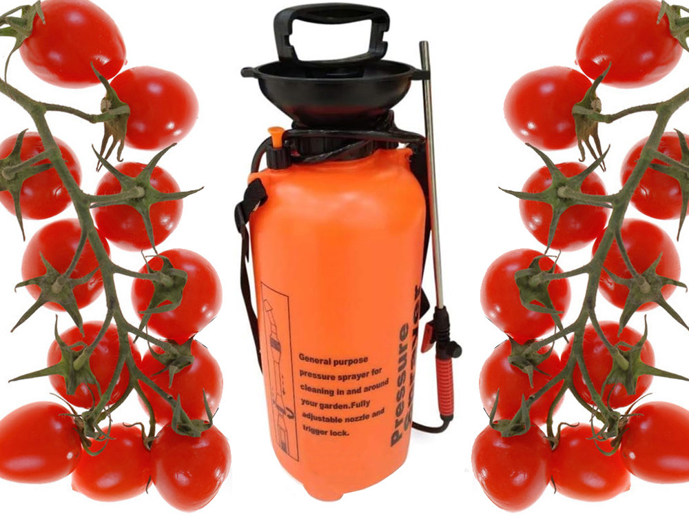 Rokas spiediena dārza smidzinātājs ar garu lance, 10L, siksna, oranžs (1)