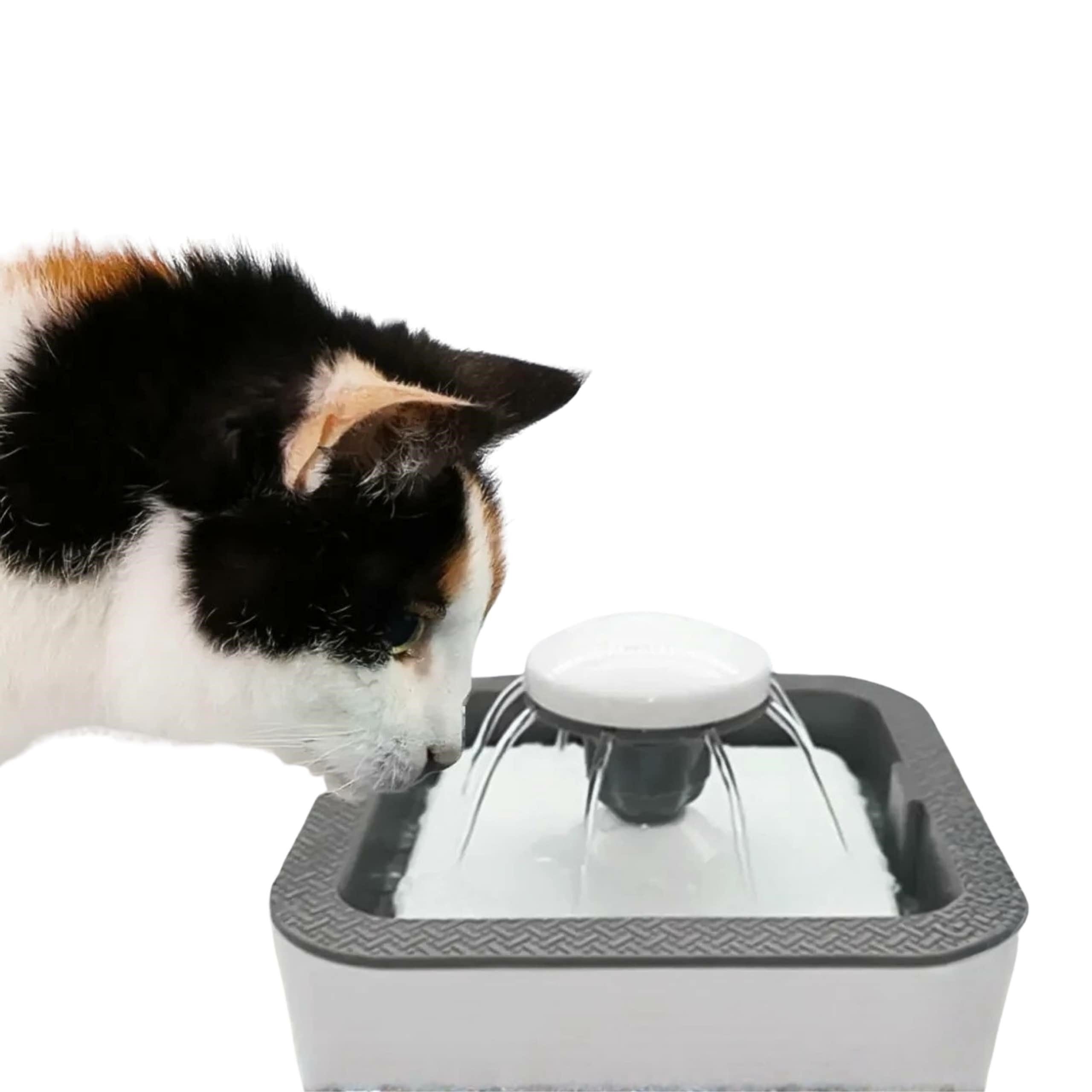 Automātiskā ūdens strūklaka kaķiem un suņiem 2,5l (3)