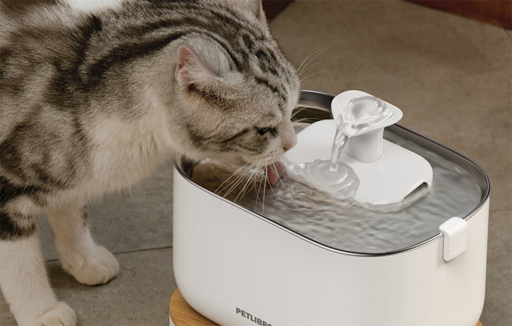 Petlibro Dockstream viedā kaķu dzirdinātava ar lietotni 2.5L (2)