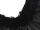 Melnā eņģeļa spārni - Spalvu | Feather Angel Wings Black Fairy Tale Costume Halloween Disguise