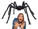 Helovīna Dekors Putnu Zirneklis Tarantuls | Halloween Spider Giant Decoration